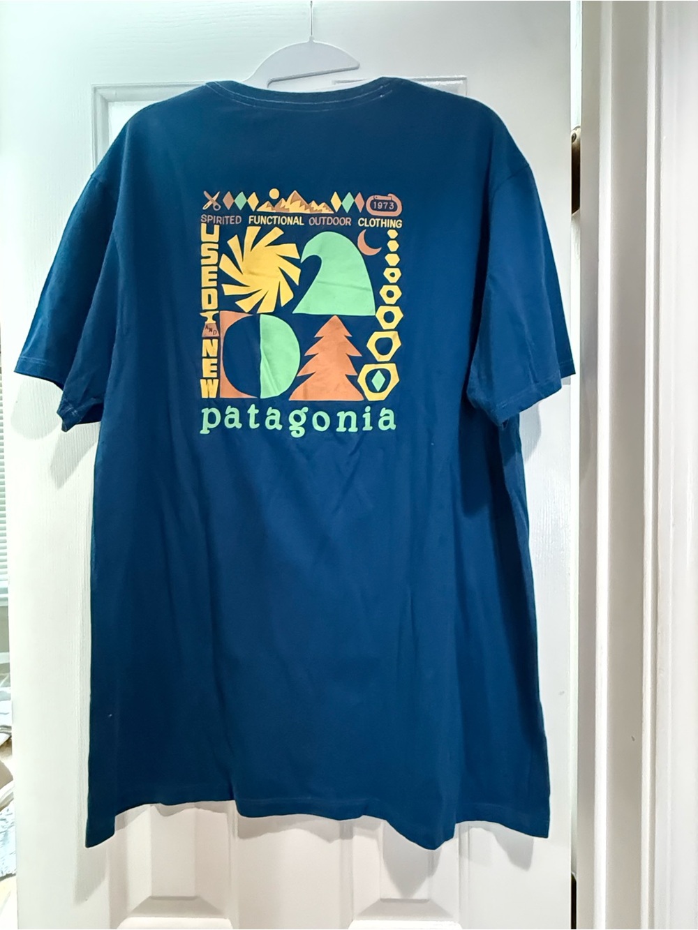 Patagonia Teal Blue Graphic Organic Cotton Tee